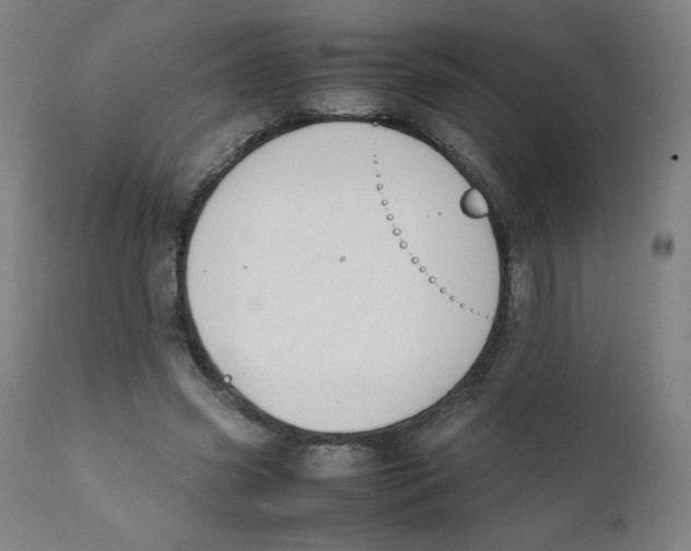 X0000111880541200908201259