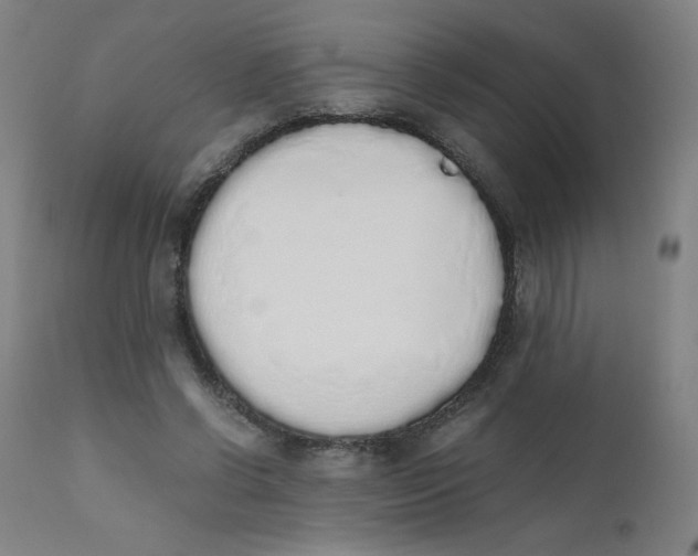 X0000111880542200908201259