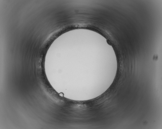 X0000111880543200908201259