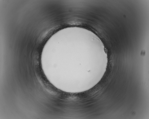 X0000111880547200908201259