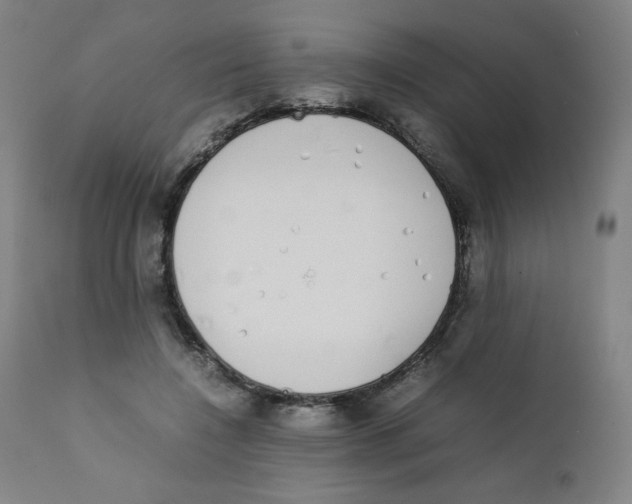 X0000111880548200908201259