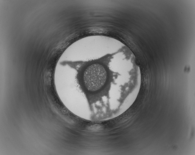 X0000111880551200908201259
