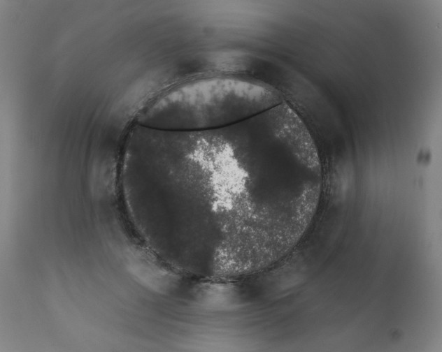 X0000111880552200908201259