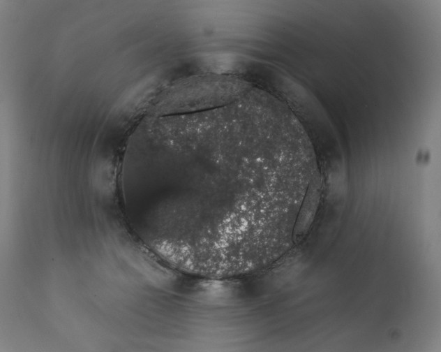 X0000111880558200908201259