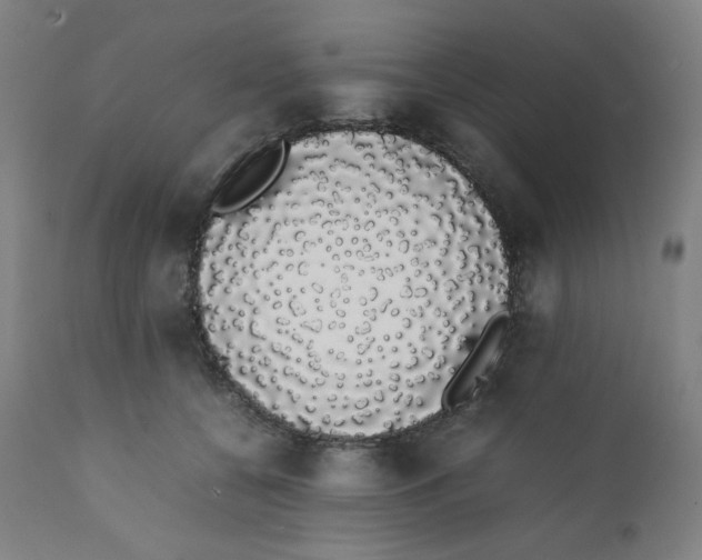 X0000111880560200908201259