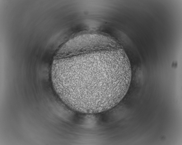 X0000111880562200908201259