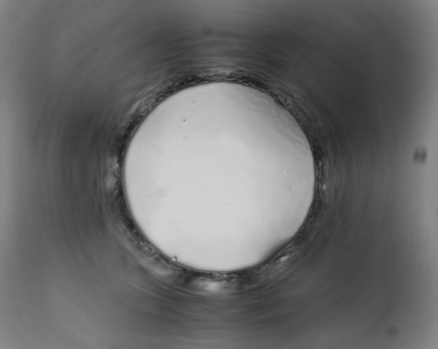 X0000111880563200908201259