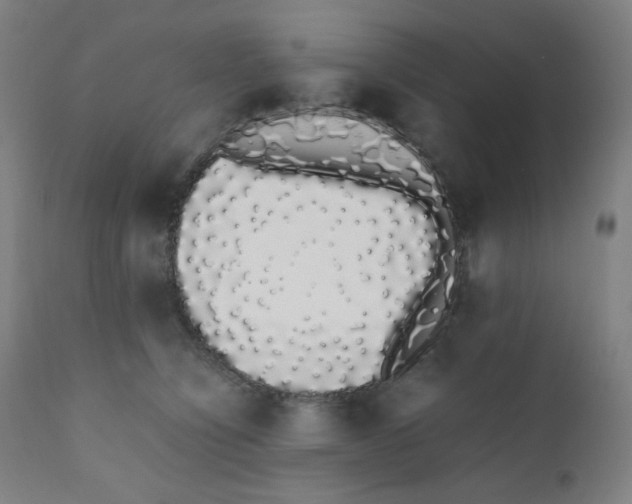 X0000111880564200908201259