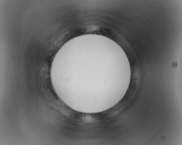 X0000111880565200908201259