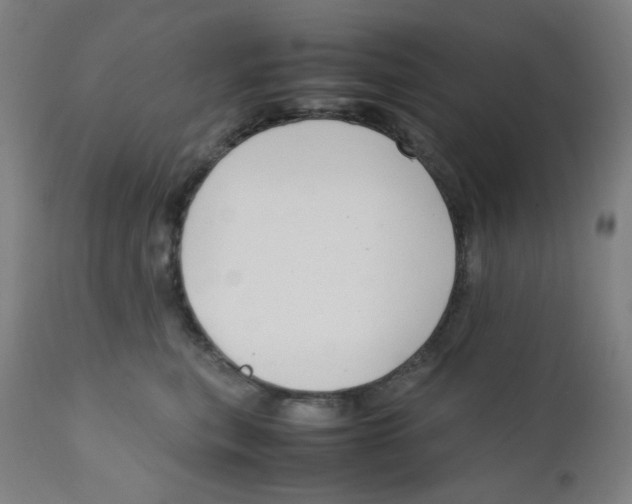 X0000111880567200908201300