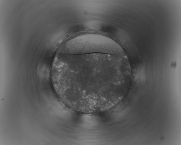 X0000111880568200908201300