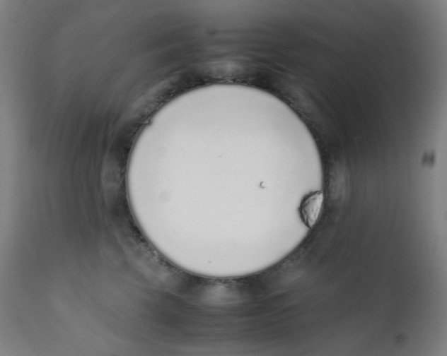 X0000111880569200908201300