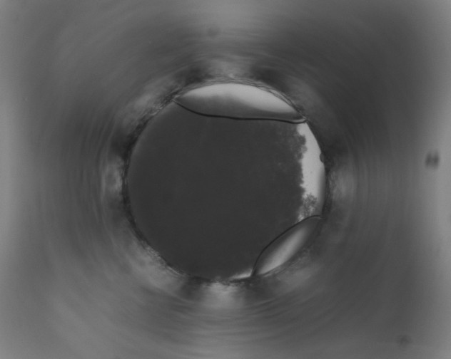 X0000111880570200908201300
