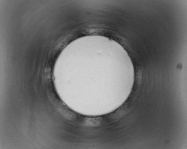 X0000111880571200908201300