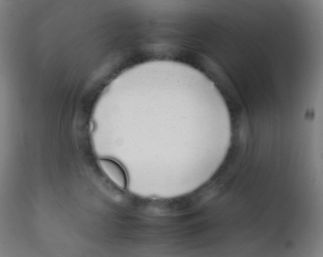 X0000111880573200908201300