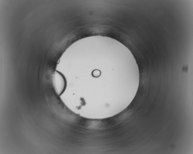 X0000111880575200908201300