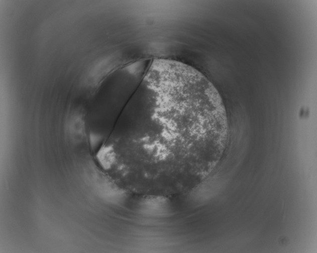 X0000111880576200908201300