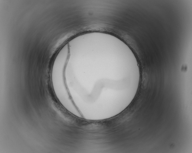 X0000111880578200908201259