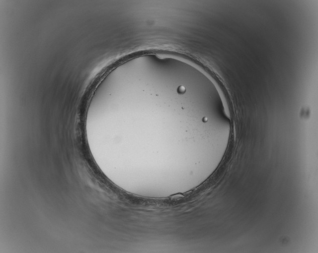 X0000111880579200908201259