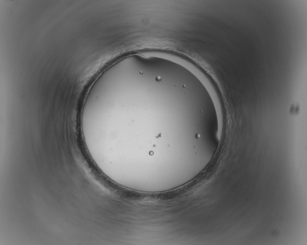 X0000111880581200908201259