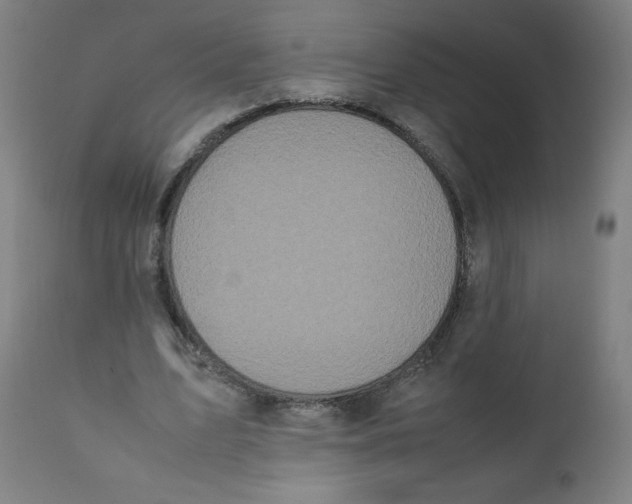 X0000111880583200908201259