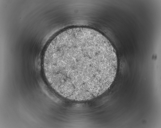 X0000111880584200908201259