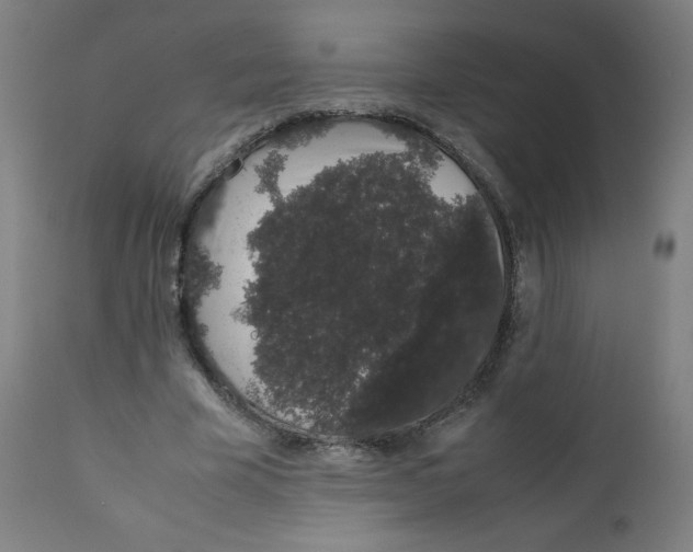 X0000111880585200908201259