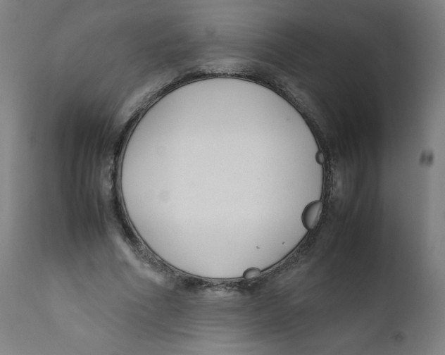 X0000111880586200908201259