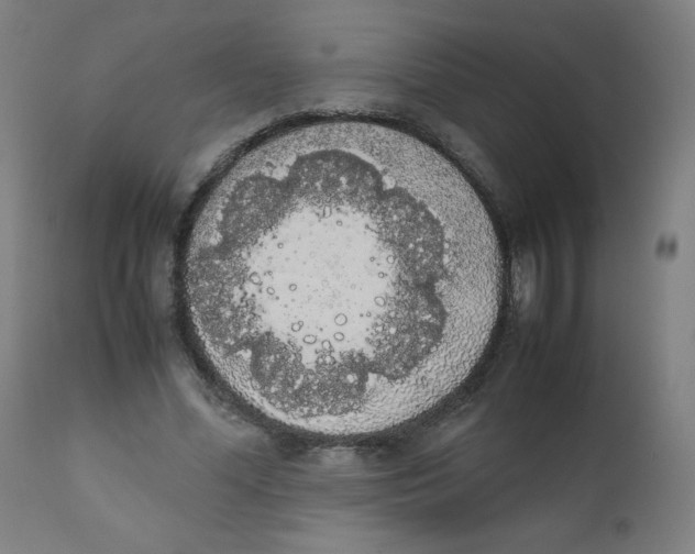X0000111880588200908201259