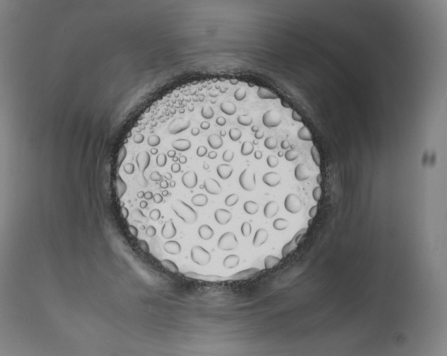 X0000111880589200908201259