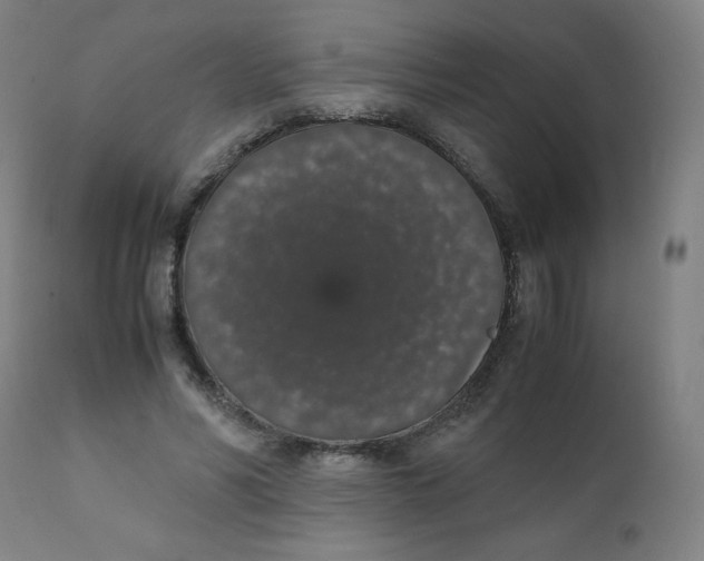 X0000111880590200908201259