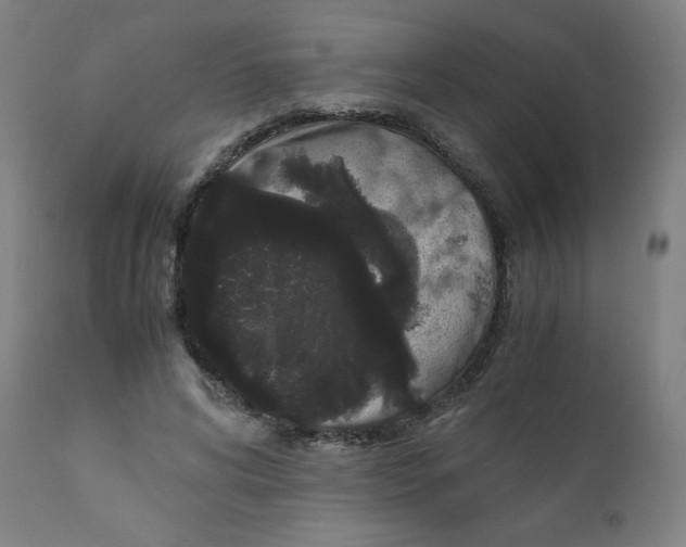 X0000111880592200908201259