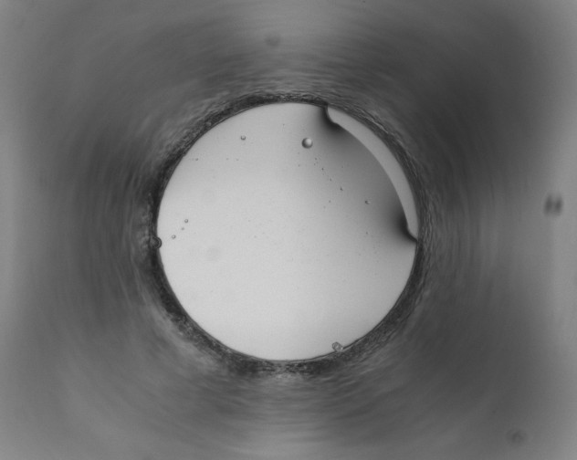 X0000111880593200908201259