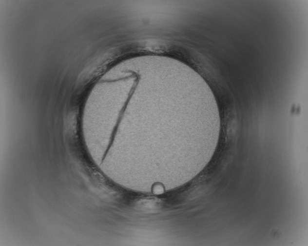 X0000111880595200908201259