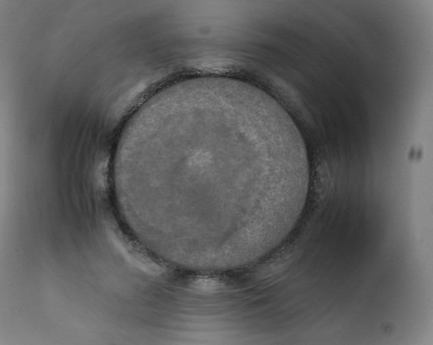 X0000111880596200908201259