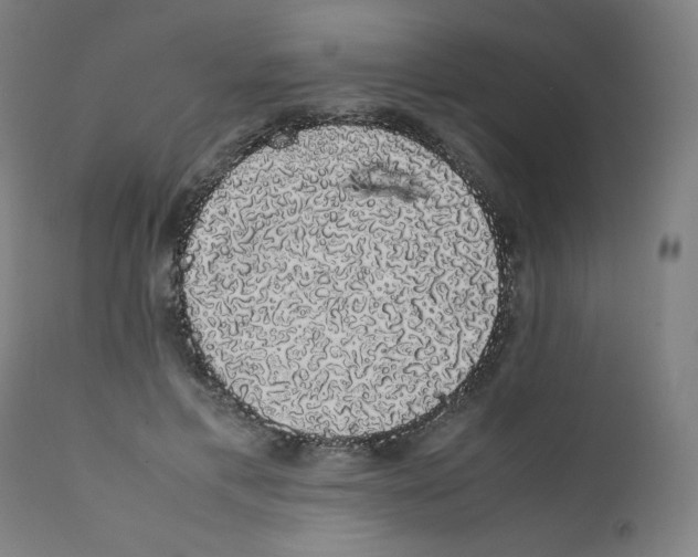 X0000111880597200908201259
