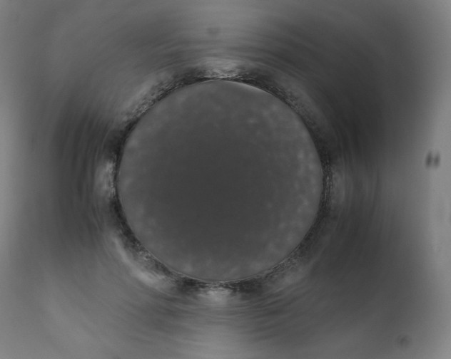X0000111880598200908201259