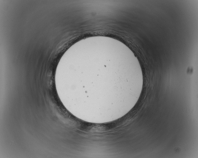 X0000111880599200908201259