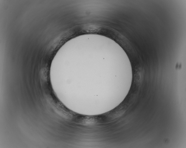 X0000111880604200908201259