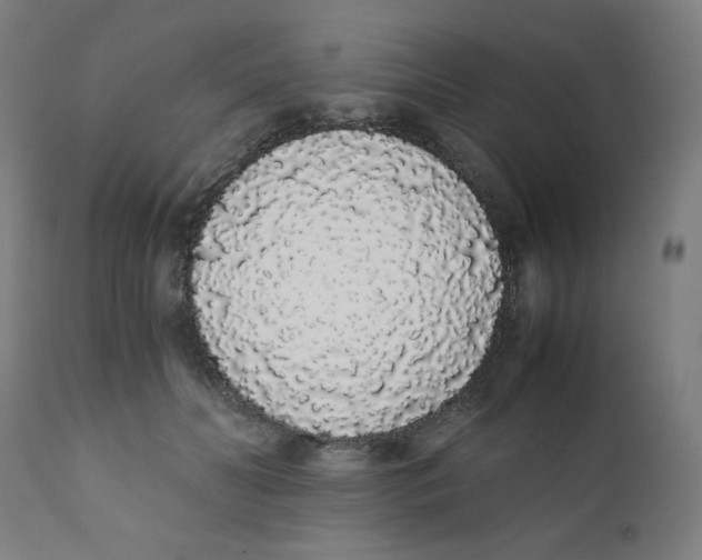 X0000111880606200908201259