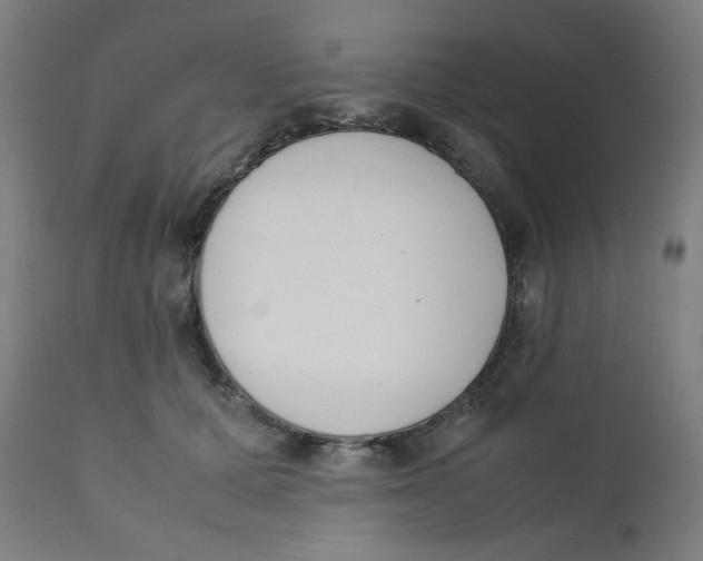 X0000111880607200908201259