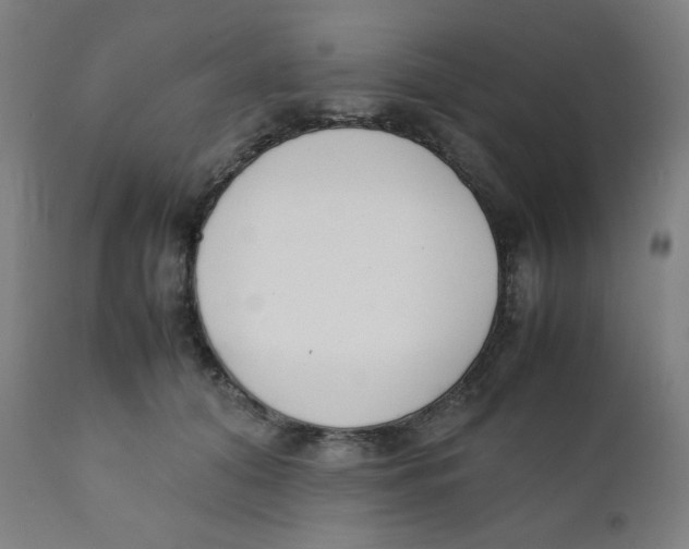 X0000111880608200908201259