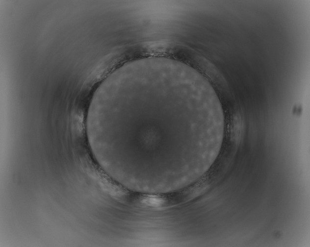 X0000111880610200908201259