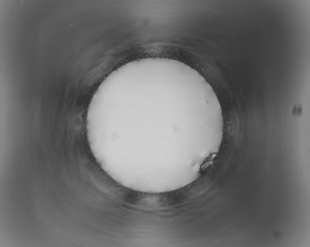 X0000111880611200908201258
