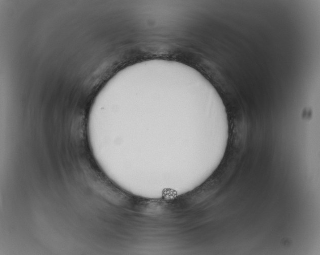 X0000111880612200908201258