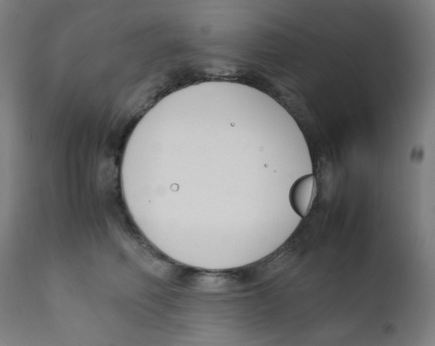 X0000111880614200908201258