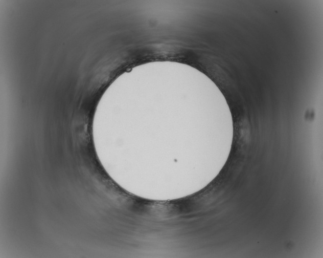 X0000111880615200908201258