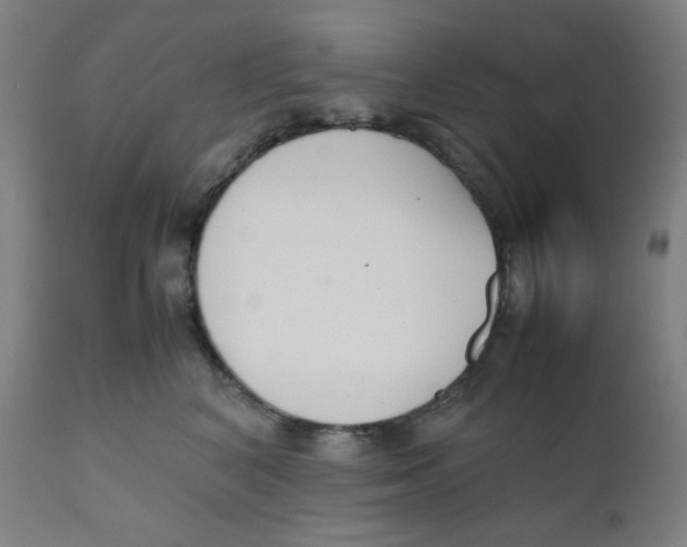 X0000111880616200908201258