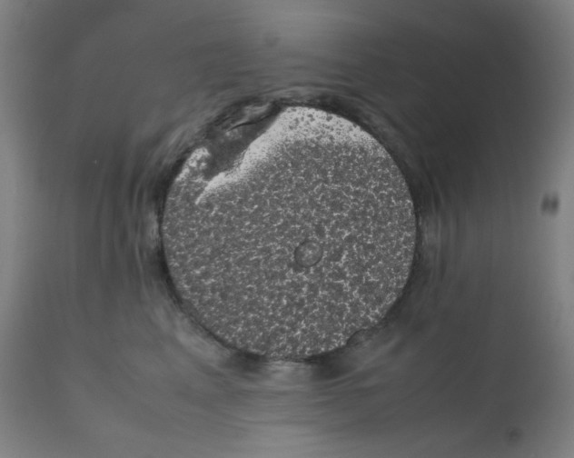 X0000111880617200908201258