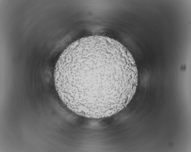 X0000111880618200908201258